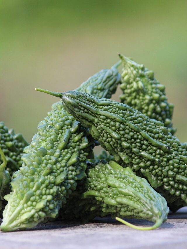 The Most Anti-Cancer Diet 10 Pre-Modern Foods Backed by New Science